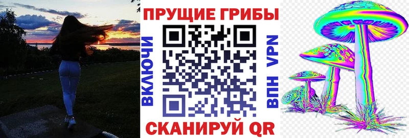 mega ССЫЛКА Братск Псилоцибиновые грибы Psilocybine cubensis что такое